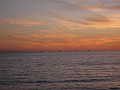 Carpinteria California 2010-02 0970